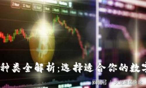 USDT钱包种类全解析：选择适合你的数字货币钱包