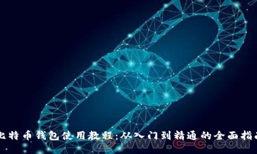 比特币钱包使用教程：从入门到精通的全面指南