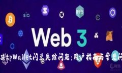 如何解决tpWallet闪兑失踪问题：用户指南与常见问