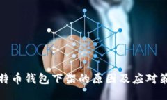 比特币钱包下架的原因及应对策略