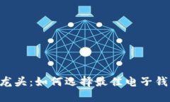 区块链电子钱包龙头：如何选择最佳电子钱包，