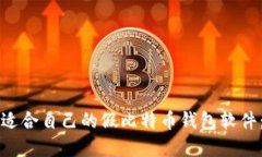 如何选择适合自己的假比特币钱包软件：全面指