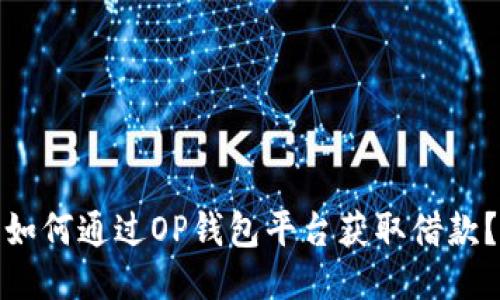 如何通过OP钱包平台获取借款？