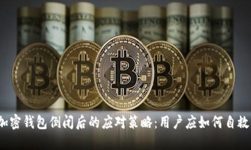 加密钱包倒闭后的应对策略：用户应如何自救？