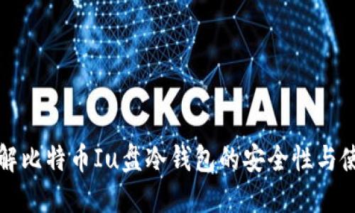 深入了解比特币Iu盘冷钱包的安全性与使用技巧