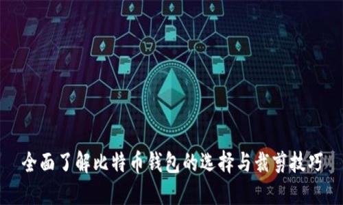 全面了解比特币钱包的选择与裁剪技巧