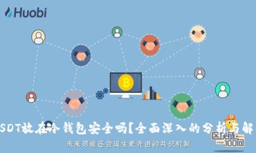 USDT放在冷钱包安全吗？全面深入的分析与解答