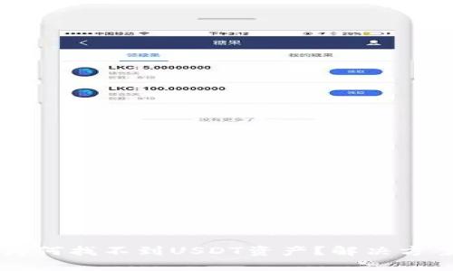 tpWallet中为何找不到USDT资产？解决方案与使用指南