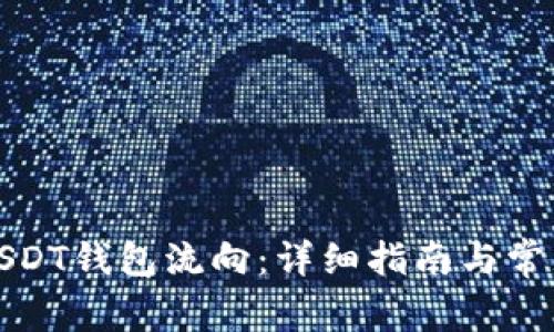 如何查看USDT钱包流向：详细指南与常见问题解答