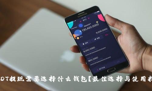 USDT提现需要选择什么钱包？最佳选择与使用指南