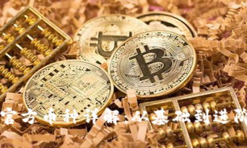 以太坊钱包官方币种详解：从基础到进阶的全面指南