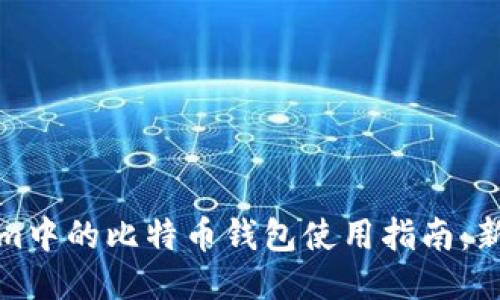Tokenim中的比特币钱包使用指南：新手必看