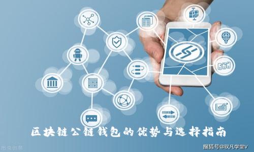 区块链公链钱包的优势与选择指南