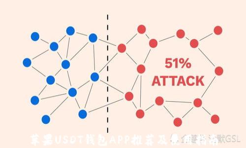 
苹果USDT钱包APP推荐及使用指南
