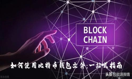 如何使用比特币钱包文件：一站式指南