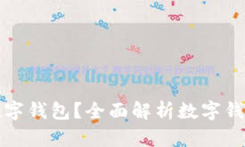 哪里可以开通数字钱包？全面解析数字钱包的选择与使用