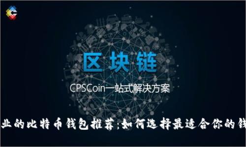 专业的比特币钱包推荐：如何选择最适合你的钱包