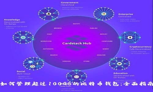 如何管理超过100GB的比特币钱包：全面指南