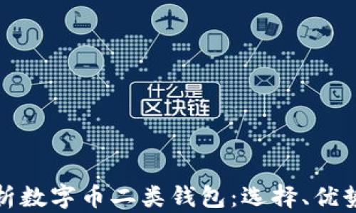
全方位解析数字币二类钱包：选择、优势及安全性