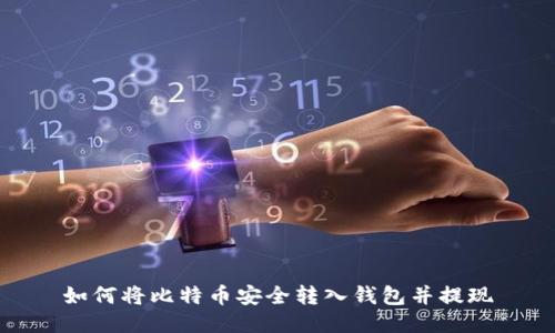 如何将比特币安全转入钱包并提现