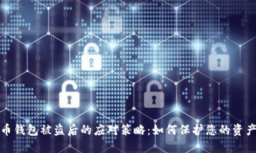 比特币钱包被盗后的应对策略：如何保护您的资产安全