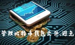 如何高效管理比特币钱包文件，避免过大困扰