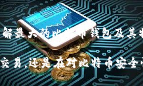 jiaoti揭开比特币钱包的神秘面纱：最大比特币钱包的详细解析/jiaoti

比特币钱包, 最大比特币钱包, 加密货币, 钱包安全/guanjianci

什么是比特币钱包？
比特币钱包，简单来说，就是存储和管理比特币的工具。它可以是软件、应用程序，也可以是硬件设备。对于普通用户而言，选择一个安全、便捷的钱包，是踏入加密货币世界的第一步。

比特币钱包的种类
比特币钱包的种类多样，主要分为热钱包和冷钱包。热钱包通常与互联网连接，便于随时交易；冷钱包则是离线的，相对安全，适合长期存储比特币。

最大的比特币钱包是谁？
当我们谈论“最大比特币钱包”时，我们需要明确是指持有比特币数量最多的钱包地址。在比特币的历史上，有几个地址因其巨大的比特币持有量而引起了广泛的关注。

比特币的最大钱包分析
目前已知的最大比特币钱包，持有的比特币数量惊人。它们的存在，引发了人们对比特币的价值和未来的深思。这些钱包往往是由交易所或大型投资机构控制，使用这些钱包的用户可以安全地存储他们的资产。

如何查看比特币钱包的余额？
要查看特定比特币钱包的余额，可以通过区块链浏览器。这些工具可以追踪到特定钱包地址的交易记录、余额等信息，实时更新，让用户一目了然。

比特币钱包的安全性
安全性是选择比特币钱包时不可或缺的一环。一个好的钱包不仅要便于使用，更要确保用户资金的安全。包括使用双重身份验证、冷存储和防钓鱼技术等，都是常见的安全措施。

钱包的便利性与创新
随着科技进步，比特币钱包在便捷性上也有了不少创新。例如，某些钱包提供了“一键交易”的功能，用户只需要轻松点击几下，就能完成复杂的交易。这些创新大大提升了普通用户的使用体验。

未来的比特币钱包发展方向
未来，比特币钱包的功能将不仅仅是存储和交易。钱包将可能与其他金融产品结合，比如贷款、投资等，实现一个完整的金融生态系统。

总结
作为加密货币领域的重要组成部分，比特币钱包的存在为用户提供了方便的资产管理方式。了解最大的比特币钱包及其特点，不仅有助于用户选择合适的钱包，同时也能更好地理解比特币这一数字货币的市场动态。

总之，最大的比特币钱包并非只有一个，而是指代那些持有大量比特币的地址。无论是在投资、交易，还是在对比特币安全性的关注上，每个用户都应该认真观察和选择，让他们的数字资产安然无恙。