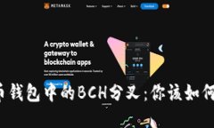 比特币钱包中的BCH分叉：你该如何处理？