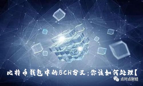 比特币钱包中的BCH分叉：你该如何处理？