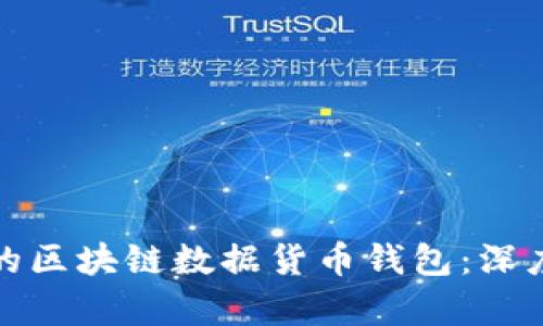 如何选择最安全的区块链数据货币钱包：深度剖析与实用建议