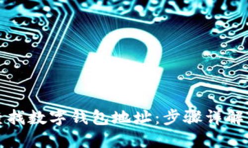 如何快速查找数字钱包地址：步骤详解与实用技巧