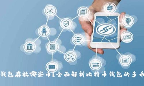比特币钱包存放哪些币？全面解析比特币钱包的多币种支持