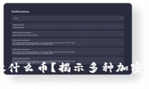 比特币钱包都能放什么币？揭示多种加密货币存储的可能性