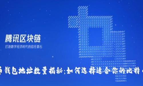 比特币钱包地址数量揭秘：如何选择适合你的比特币钱包