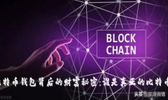 揭开比特币钱包背后的财富秘密：谁是真正的比