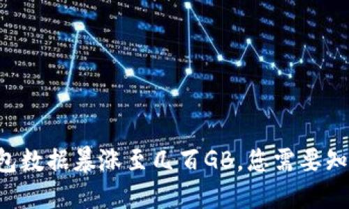 比特币钱包数据暴涨至几百GB，您需要知道的一切！
