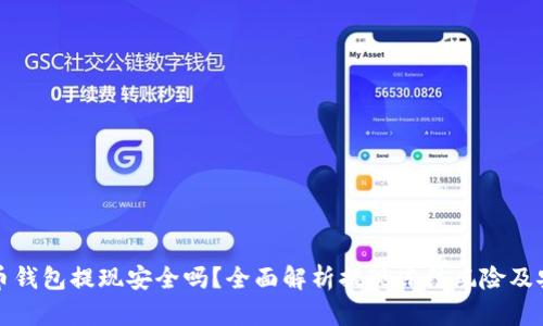 虚拟币钱包提现安全吗？全面解析提现冻结风险及安全性