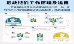 如何选择最适合您的Token钱包公链：全面指南与创