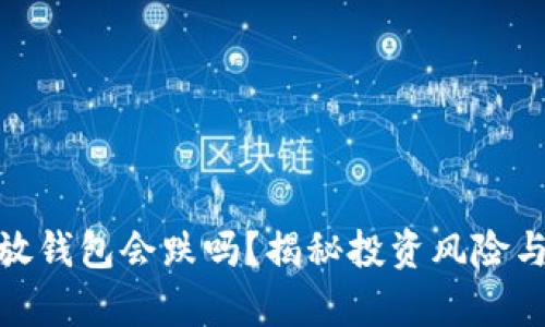 加密货币放钱包会跌吗？揭秘投资风险与保存策略