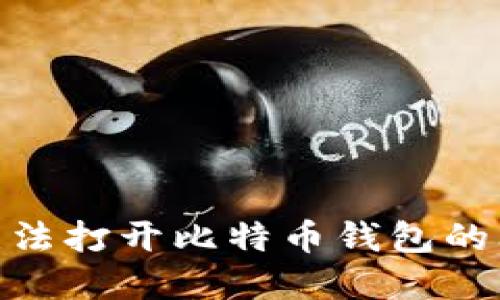 目如何解决无法打开比特币钱包的问题：完整指南