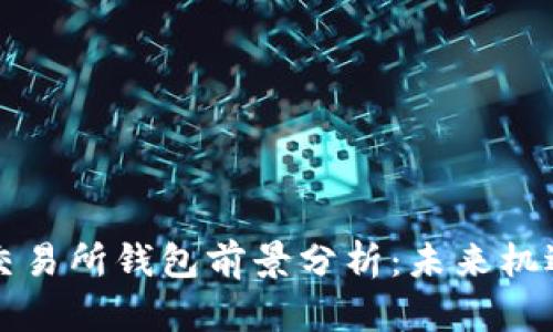 以太坊交易所钱包前景分析：未来机遇与挑战