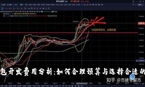 区块链钱包开发费用分析：如何合理预算与选择合适的开发方案