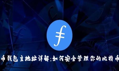 比特币钱包主地址详解：如何安全管理你的比特币资产