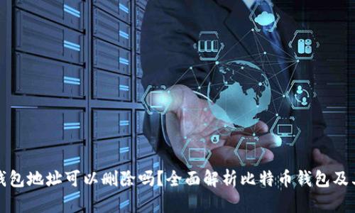 比特币钱包地址可以删除吗？全面解析比特币钱包及其安全性