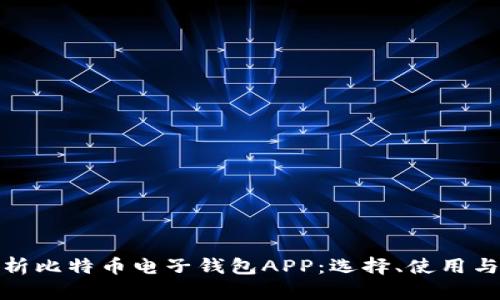 全面解析比特币电子钱包APP：选择、使用与安全性