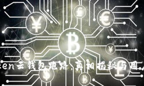 Cloud Token云钱包跑路：真相揭秘与用户保护指南