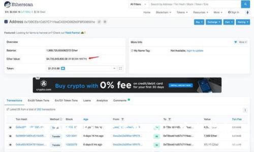 如何在BitPay上添加USDT：完整指南